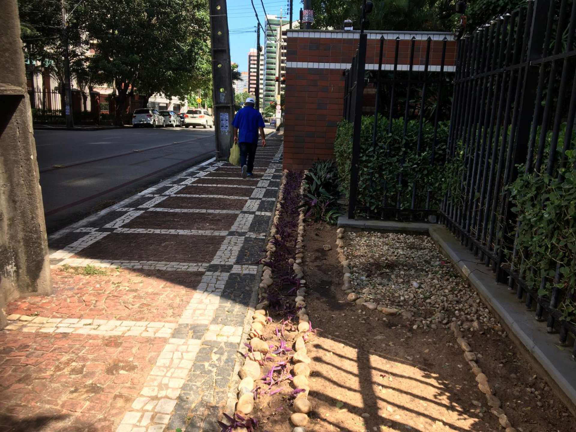 A planta j&aacute; havia sido removida quando agentes da Agefis foram enviados ao local na manh&atilde; desta quarta-feira, 22.