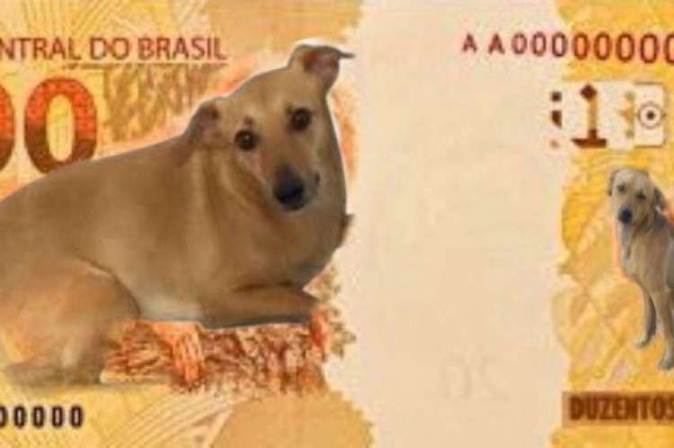 Vira-lata caramelo que repercutiu na internet como meme da nota R$ 200 quase estampou a cédula devido ação de combate aos maus-tratos contra animais do Banco Central.