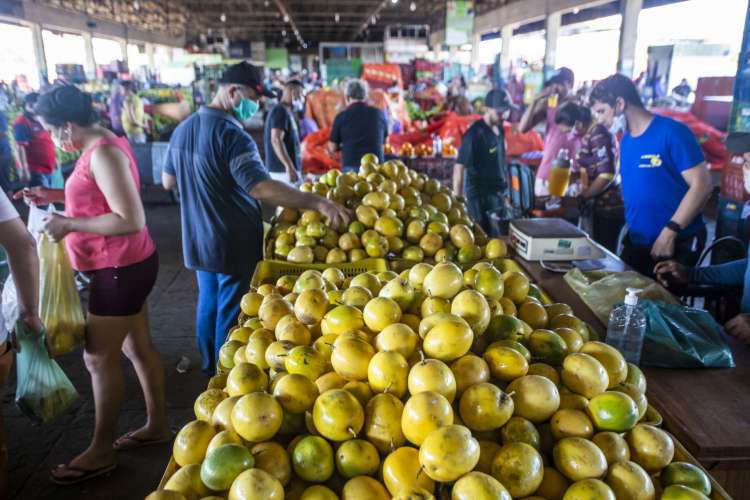 Movimentação na Ceasa é considerada tranquila apesar da convocação nacional de greve dos caminhoneiros 