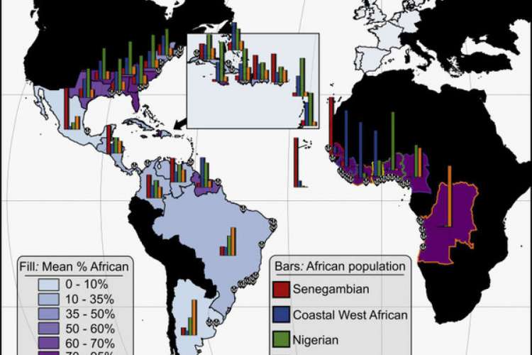 Mapa mostra a origem dos países americanos