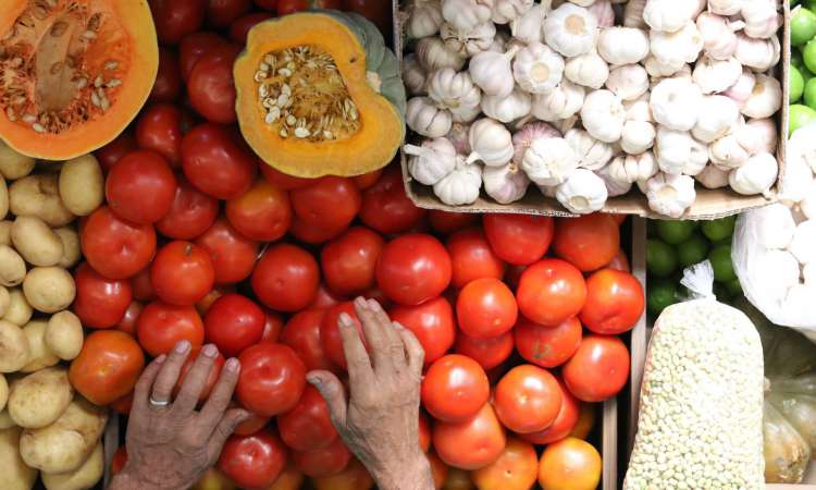 Pequenos produtores rurais terão acesso a condições diferenciadas para renegociar dívidas(Foto: Fabio Lima)