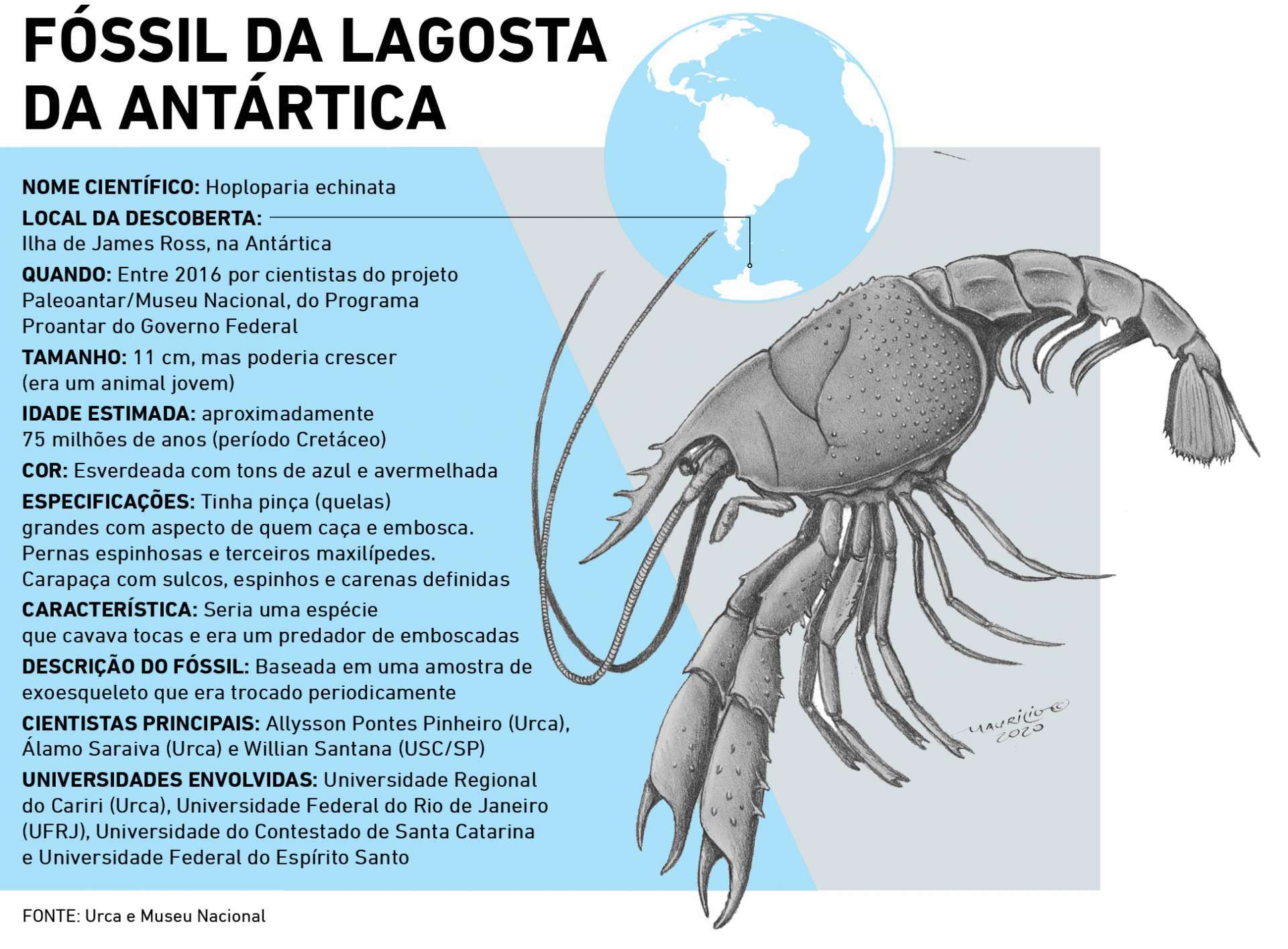 Fóssil de lagostim foi encontrado na Antártica e descrito por paleontólogos do Ceará  Infográfico: Luciana Pimenta (13/8/2020)(Foto: luciana pimenta)