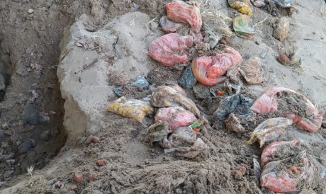 Polpas, frutas e carnes foram encontradas no terreno da escola nesta quinta-feira, 3 