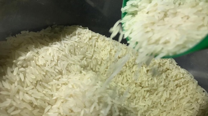 O arroz que comemos comumente tem origem asiática e fez um longo caminho do subcontinente indiano e das planícies chinesas até a Europa