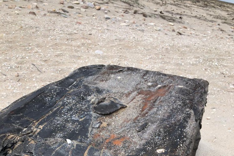 Turistas encontraram duas unidades do material (Foto: Gil Dicelli) Turistas encontraram duas unidades do material (Foto: Gil Dicelli)