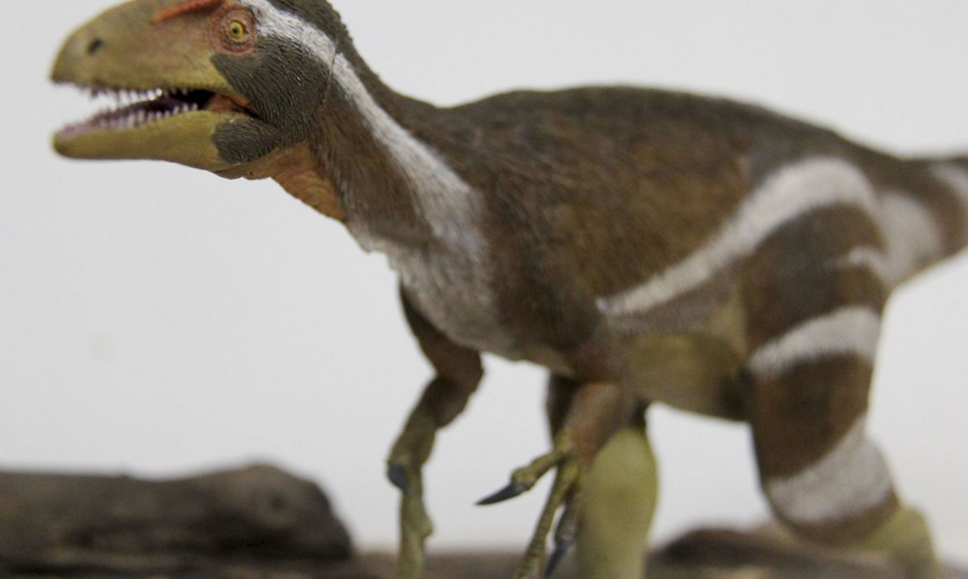 (Foto: Divulgação/Museu Nacional)Escultura do Aratasaurus.