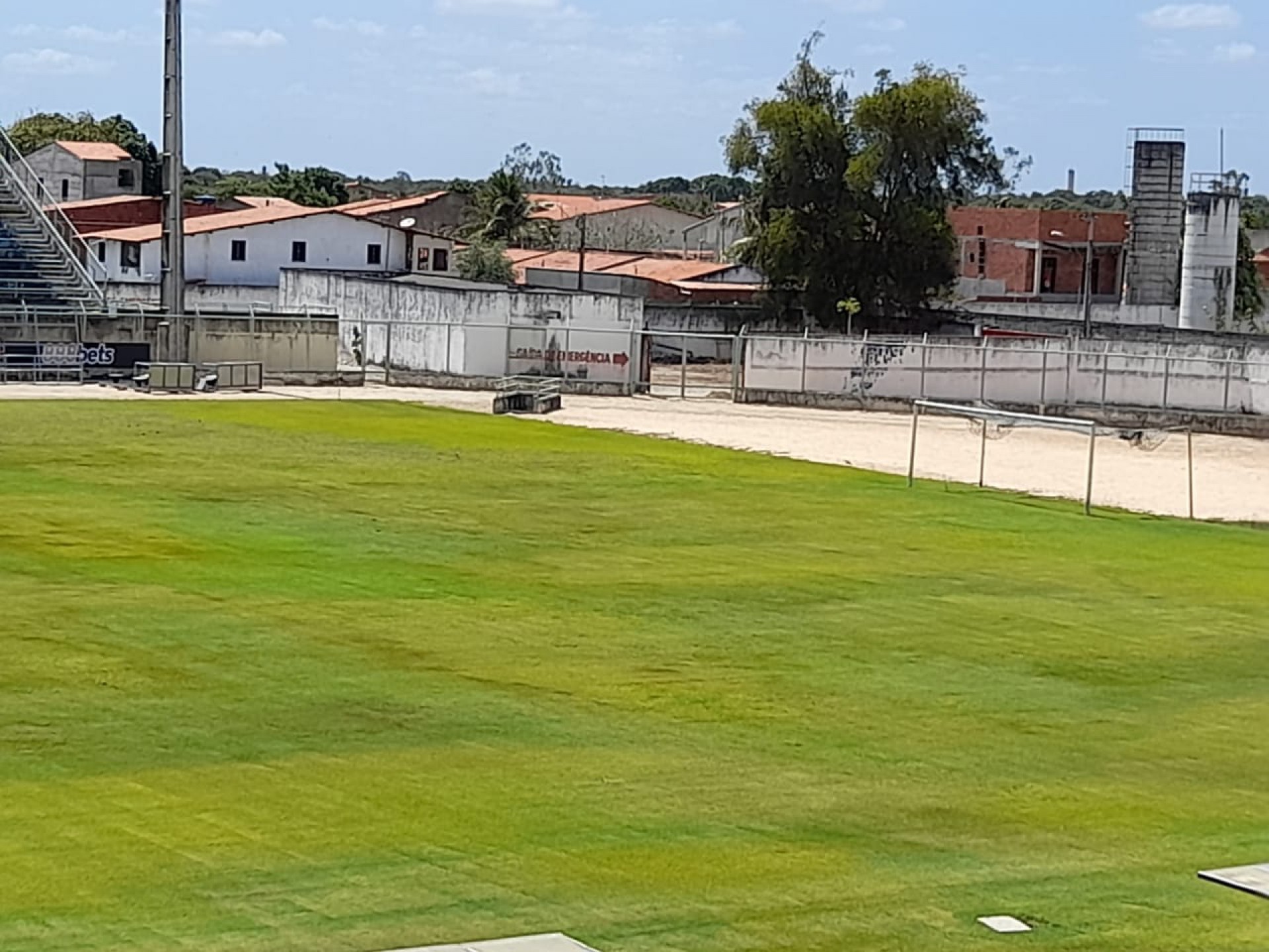 Gramado do est&aacute;dio Doming&atilde;o