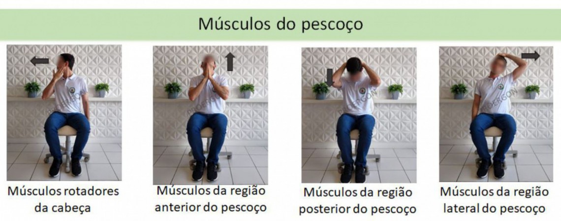 As imagens foram retiradas do Manual de ergonomia para uso de dispositivos de tela em home office, do projeto de extens&atilde;o Fisioterapia na Promo&ccedil;&atilde;o da Sa&uacute;de do Trabalhador (Proergon) da UFC