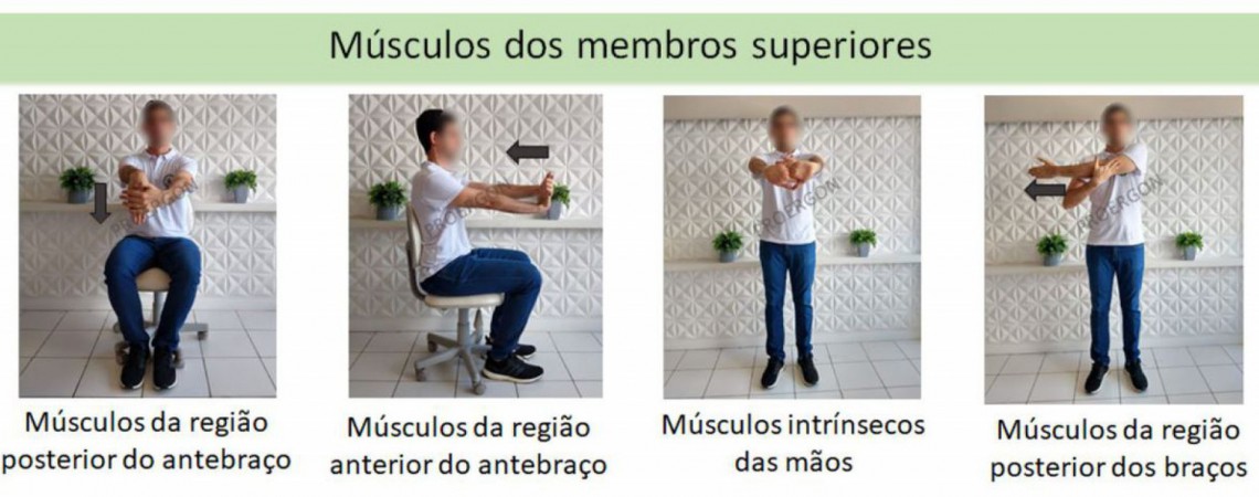As imagens foram retiradas do Manual de ergonomia para uso de dispositivos de tela em home office, do projeto de extens&atilde;o Fisioterapia na Promo&ccedil;&atilde;o da Sa&uacute;de do Trabalhador (Proergon) da UFC