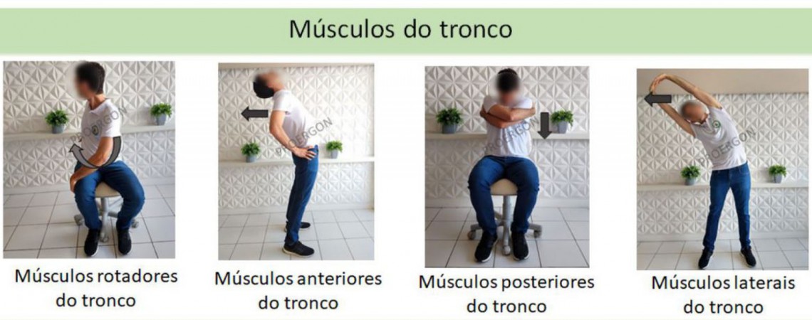 As imagens foram retiradas do Manual de ergonomia para uso de dispositivos de tela em home office, do projeto de extens&atilde;o Fisioterapia na Promo&ccedil;&atilde;o da Sa&uacute;de do Trabalhador (Proergon) da UFC