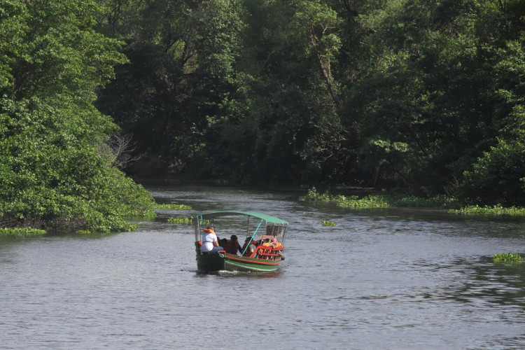 &Eacute; poss&iacute;vel optar por passeios de barco sobre o Rio Coc&oacute;. Pense nisso