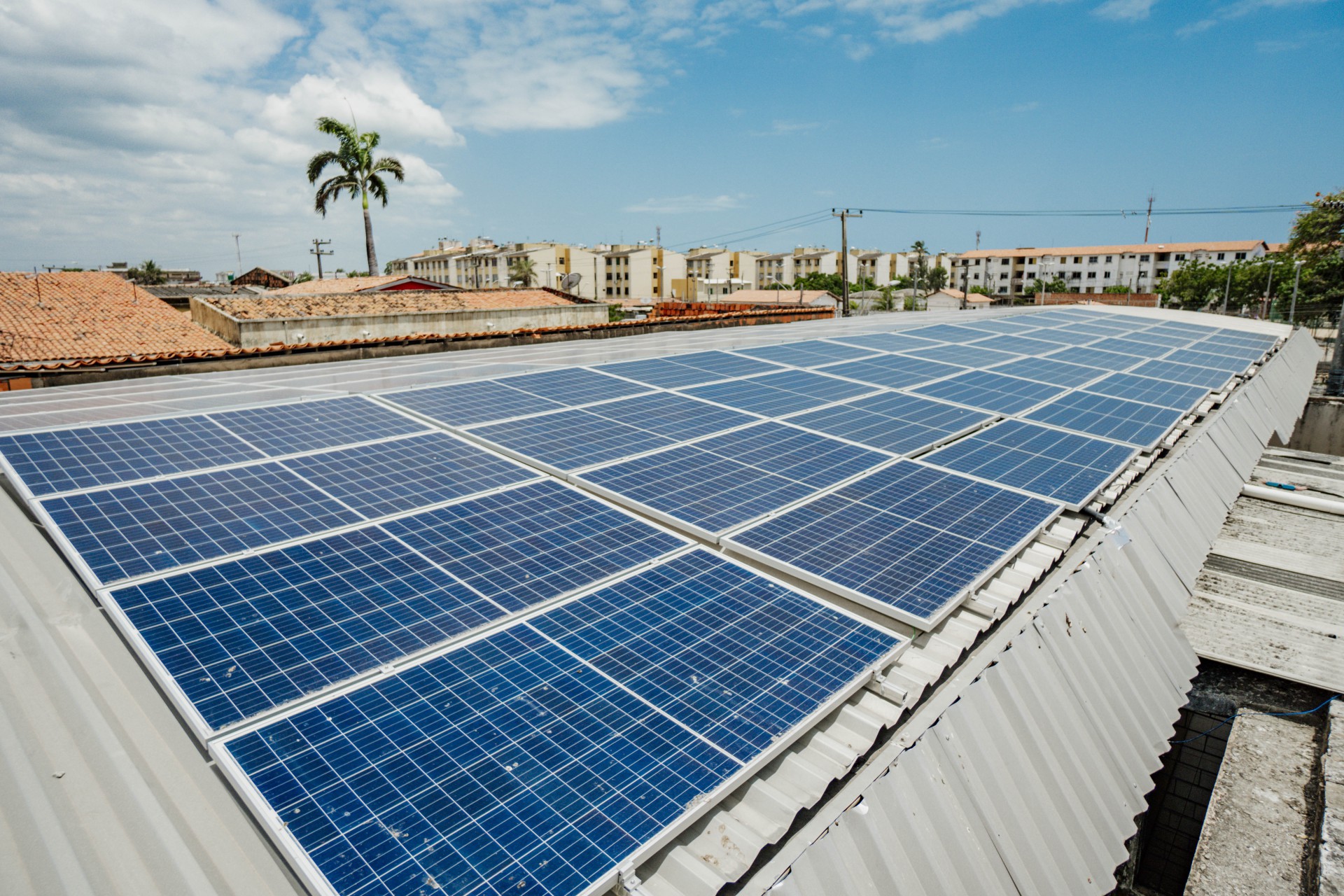 Banco do Nordeste promove o desenvolvimento de empreendimentos e atividades econômicas do setor de geração de energia elétrica por fontes renováveis(Foto: JÚLIO CAESAR)