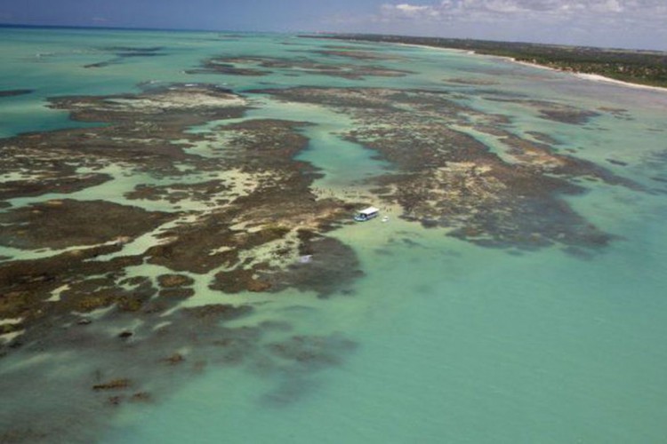Ameaça sobre recifes de corais do litoral maranhense é apontada pelo Ibama como motivo de não dar aval para exploração de petróleo