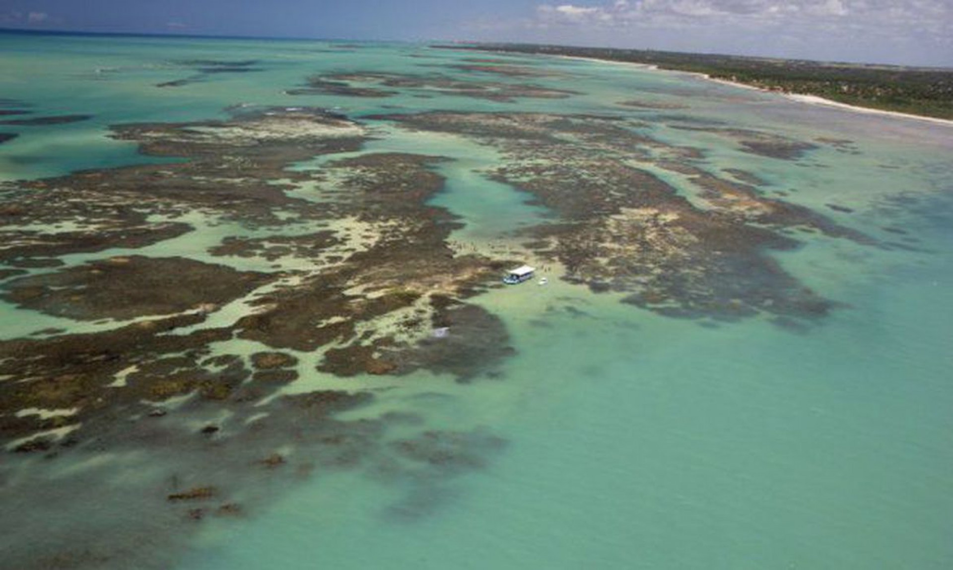 Ameaça sobre recifes de corais do litoral maranhense é apontada pelo Ibama como motivo de não dar aval para exploração de petróleo (Foto: Divulgação)