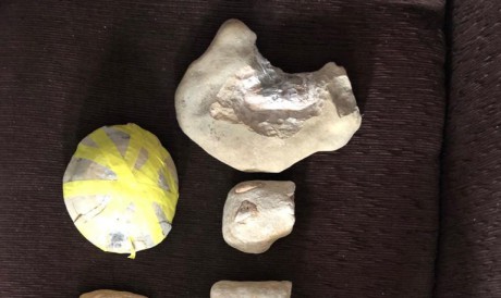 Dezenas de fósseis foram apreendidos nesta manhã 