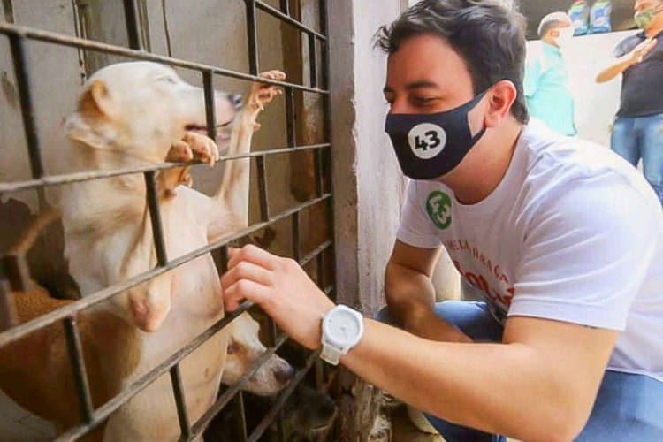 Deputado federal C&eacute;lio Studart, hoje no PSD: bandeira da causa animal 