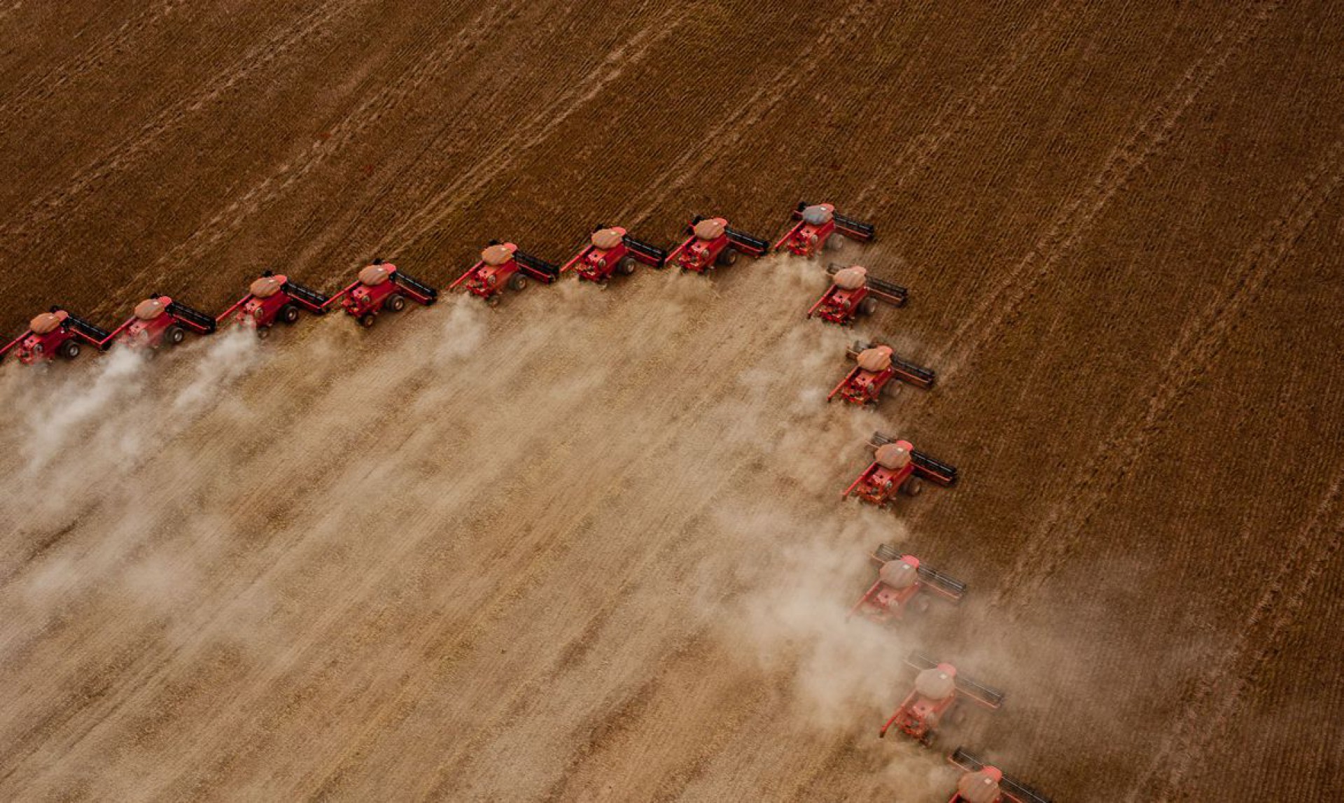 Ministério da Agricultura responde presidente da França afirmando que soja brasileira não gera desmatamento(Foto: José Medeiros/SUDECO)