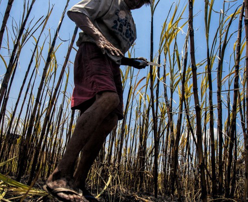 Fiscalizações realizadas no interior do Ceará para combater o trabalho escravo. 