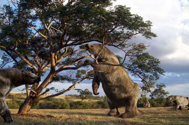 As preguiças gigantes foram os maiores mamíferos que viveram no Brasil.(Foto: Reprodução/ Rodolfo Nogueira)