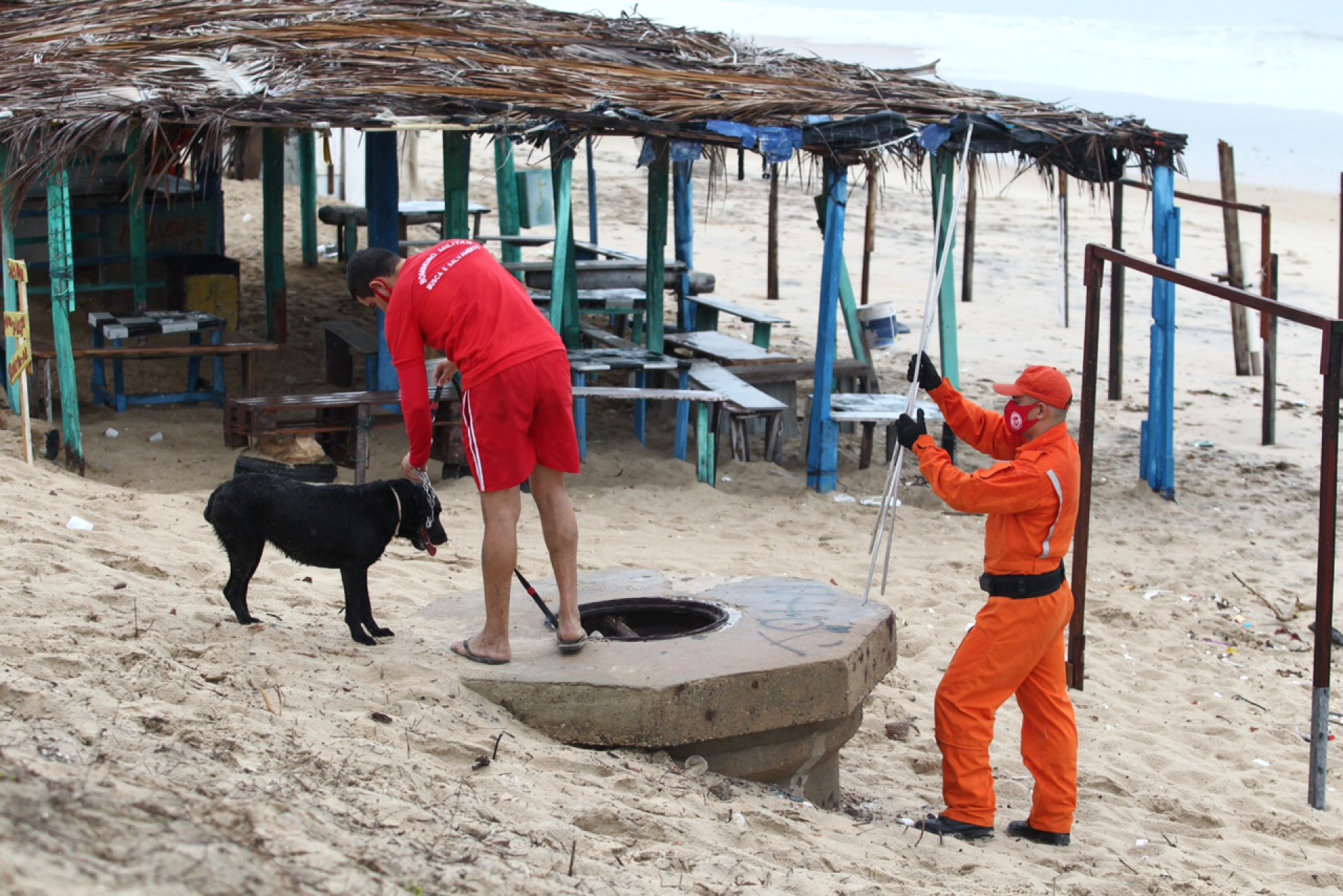 BOMBEIROS utilizaram cães farejadores nas buscas de um corpo  (Foto: FABIO LIMA)