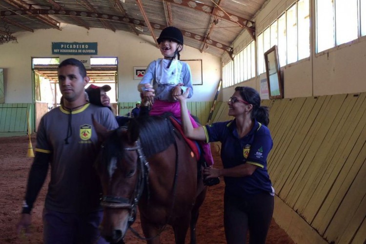 Caminhos da Reportagem apresenta hoje os benefícios da equoterapia 