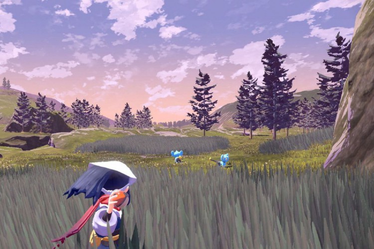 Pokémon Trainers and Pokémon Leagues