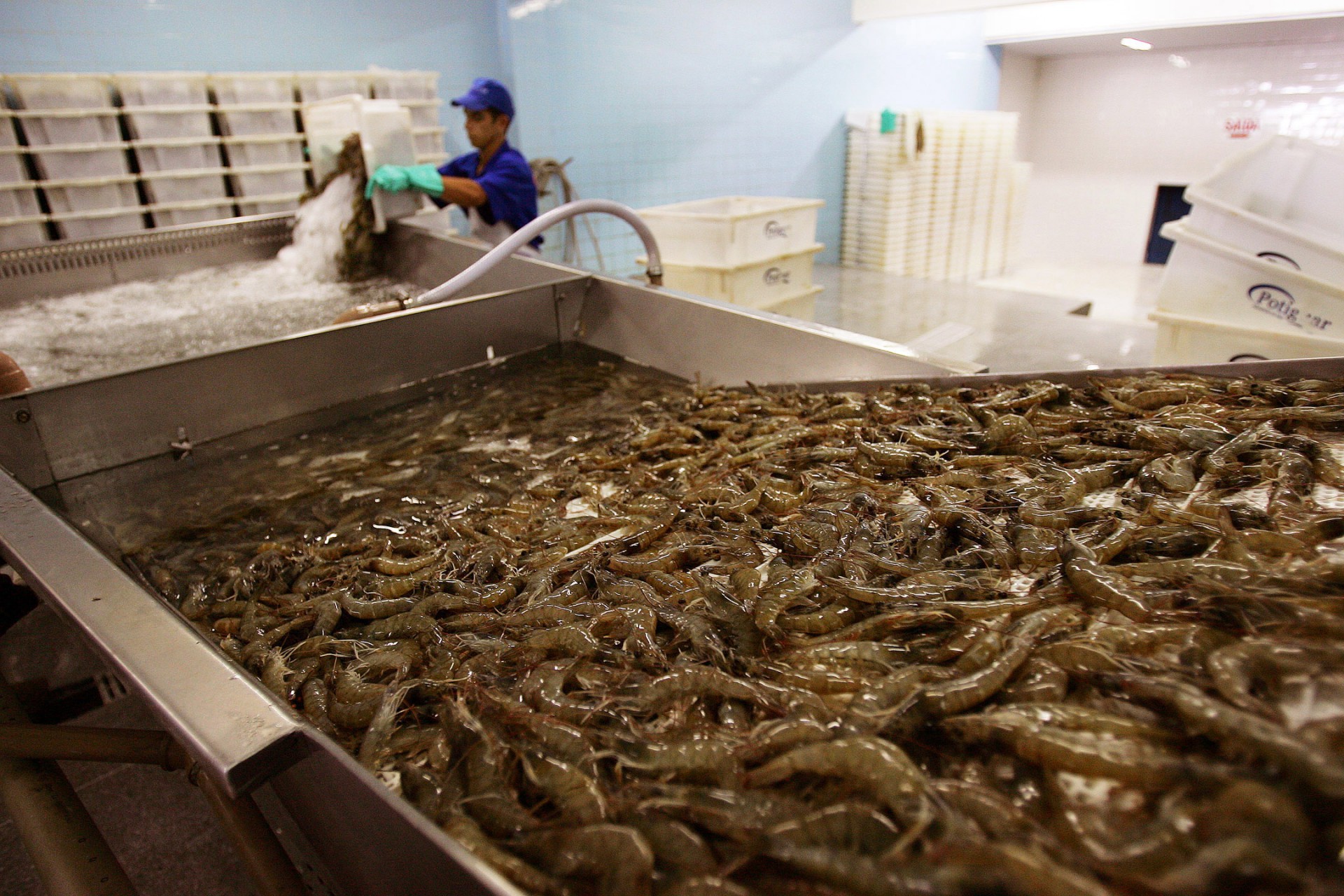 Grandes empresas confirmaram presença na feira, que contará ainda com um balcão de serviços (Foto: ROBSON FERNANDJES/AE)