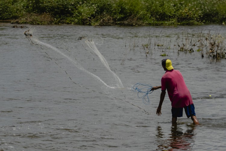 ￼ ÁGUAS TIDAS como eutróficas ou hipereutróficas possuem coloração esverdeada, originada da presença de algas