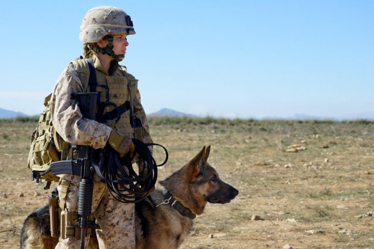 Megan Leavey é uma especialista da marinha americana em treinamento de cães para detectar bombas