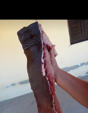 O tubarão rendeu 40 quilos de carne, consumida pelos moradores.