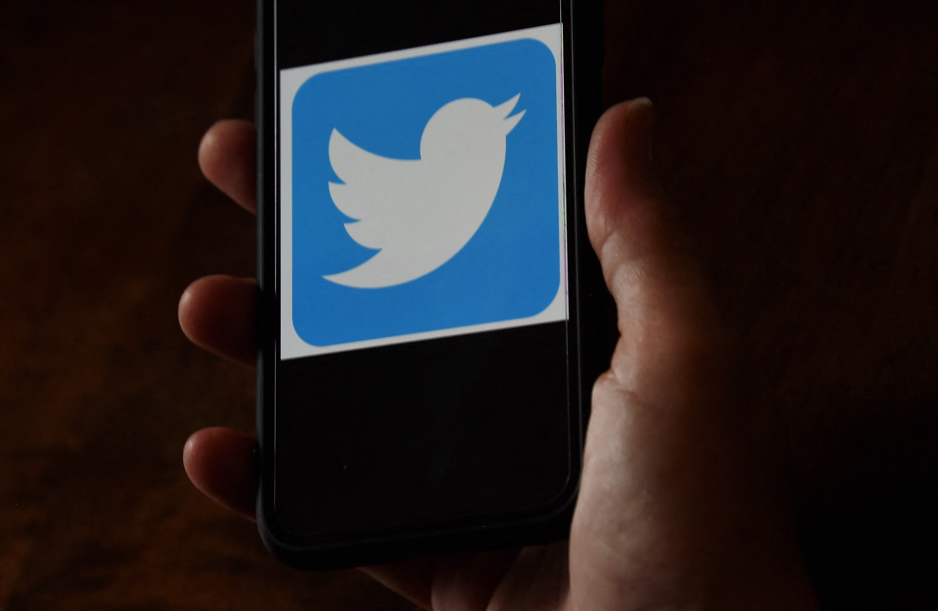 Foto de um logotipo do Twitter exibido em um telefone celular 