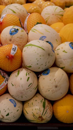 Aumento da exporta&ccedil;&atilde;o de mel&atilde;o &eacute; projetada pelo setor do agroneg&oacute;cio a partir da assinatura do acordo Mercosul-Uni&atilde;o Europeia