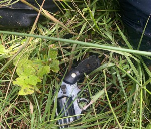 Arma foi encontrada abandonada no matagal