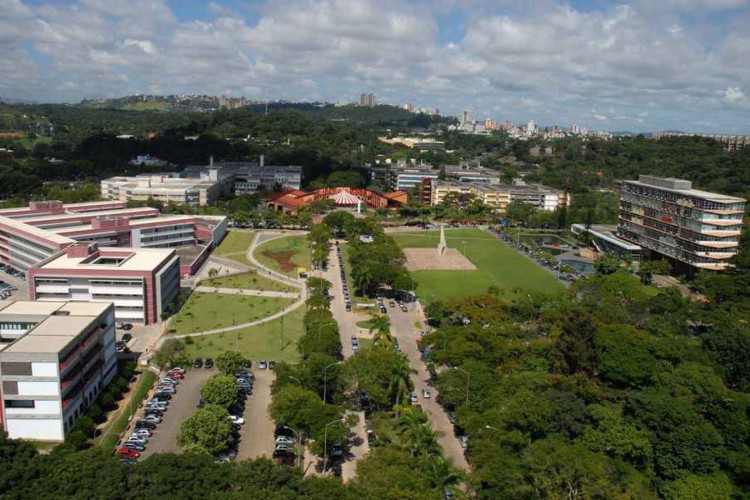 UFMG divulga pontuações mínimas e máximas dos cursos de graduação