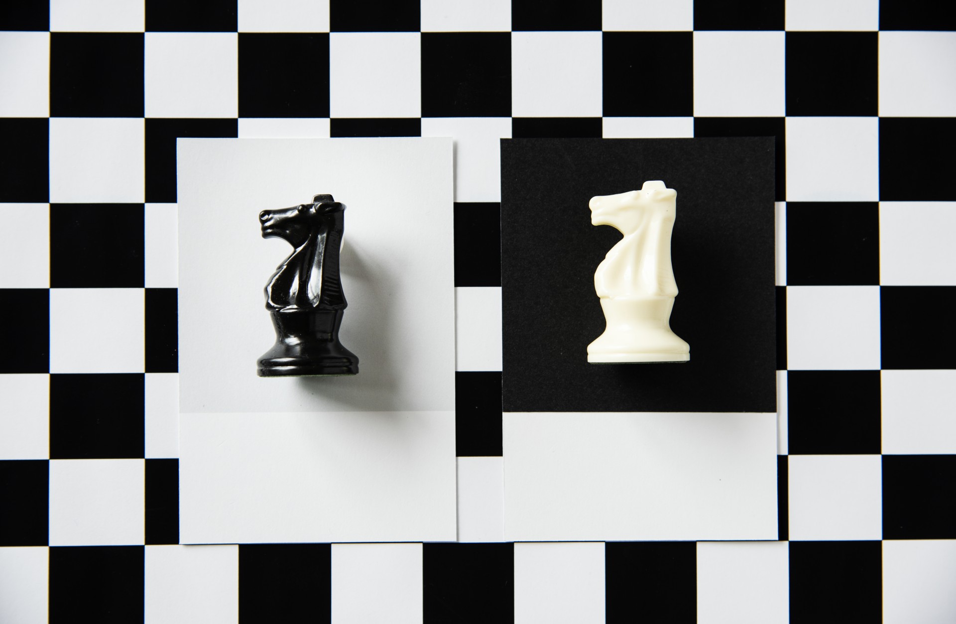 Knight chess piece on a pattern (Foto: Freepik)