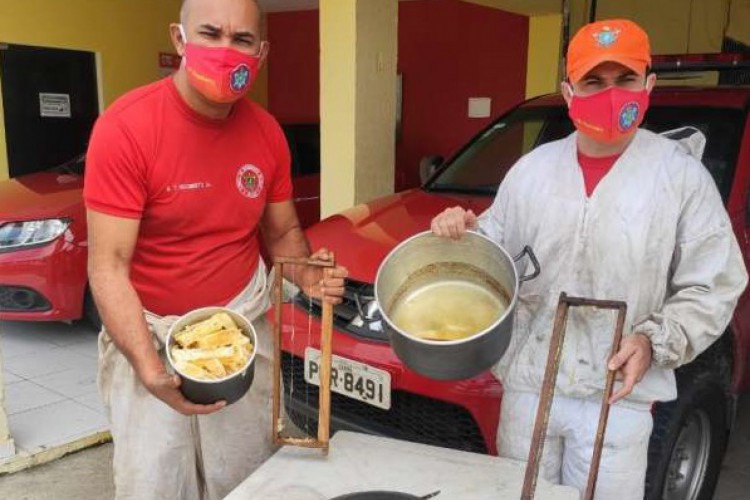 Caso a colmeia esteja em local inadequado, é necessário contatar um profissional para a remoção 
