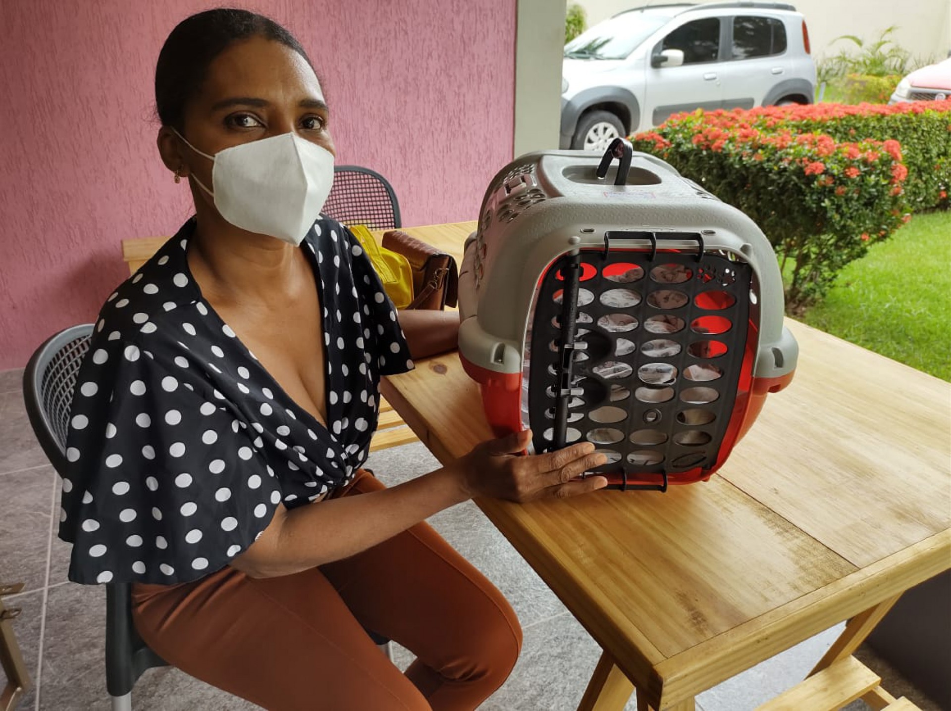 A instituição continuou fazendo ações de castração durante a pandemia.