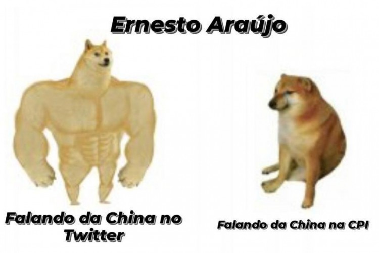 Ernesto no Twitter x Ernesto na CPI; Fala de Kátia Abreu a sobre ex-ministro vira meme