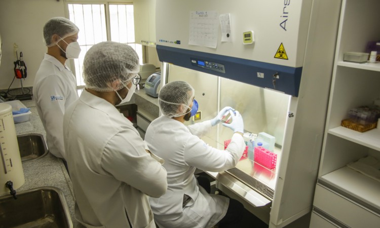 Além da vacina cearense, o Laboratório de Biotecnologia e Biologia Molecular da Uece desenvolve pesquisas de produção de kits de diagnósticos para doenças como dengue, febre Zika, Chikungunya, Leishmaniose, Leucemia linfoblástica aguda e outras.
