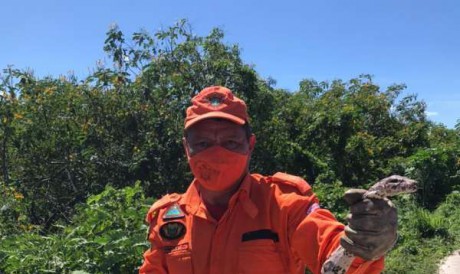 Jiboia resgatada em Missão Velha, no Ceará, tem dois metros de comprimento 