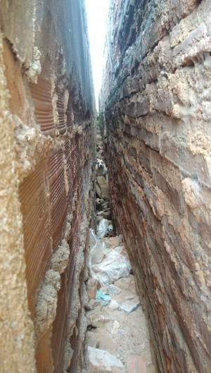 Nenhum ferimento foi encontrado nos animais, de acordo com os agentes que atenderam a ocorrência (Foto: Reprodução)