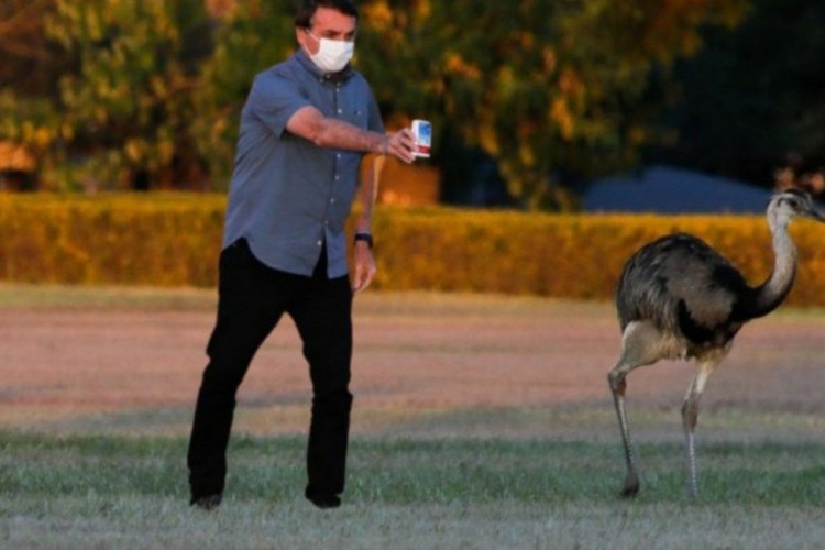 Ema foge de Bolsonaro após presidente mostrar caixa de cloroquina