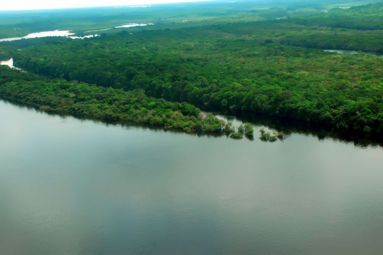 Motorola anuncia investimento na Amazônia
