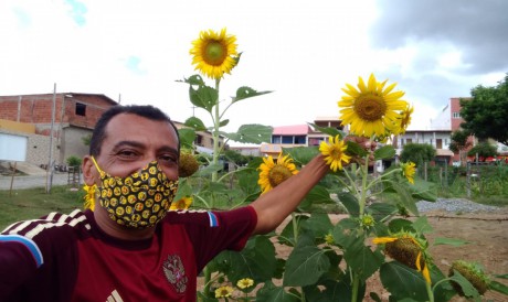 João Umbelino Sousa, 41, plantou mais de 500 girassóis como demonstração de amor 