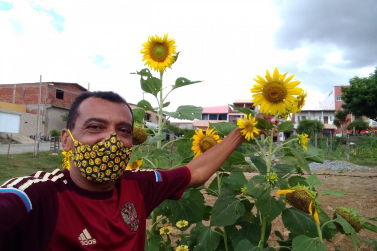 Jo&atilde;o Umbelino Sousa, 41, plantou mais de 500 girass&oacute;is como demonstra&ccedil;&atilde;o de amor