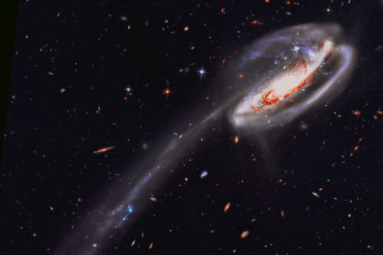 Veja o hor&oacute;scopo de todos os signos do Zod&iacute;aco para esta ter&ccedil;a, 29 de junho (29/06)