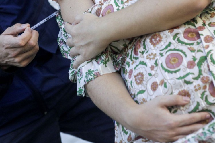 Seminário debate vacinação de gestantes contra covid-19