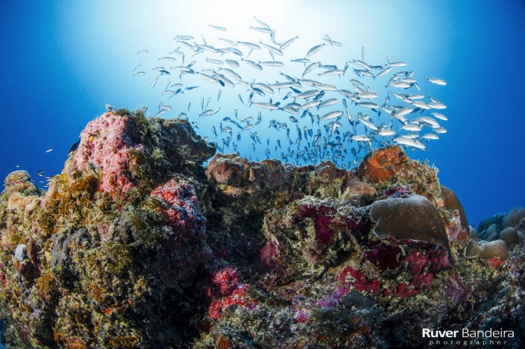 Foto feita no Canal do Urua&uacute;, em Beberibe, no Cear&aacute;.