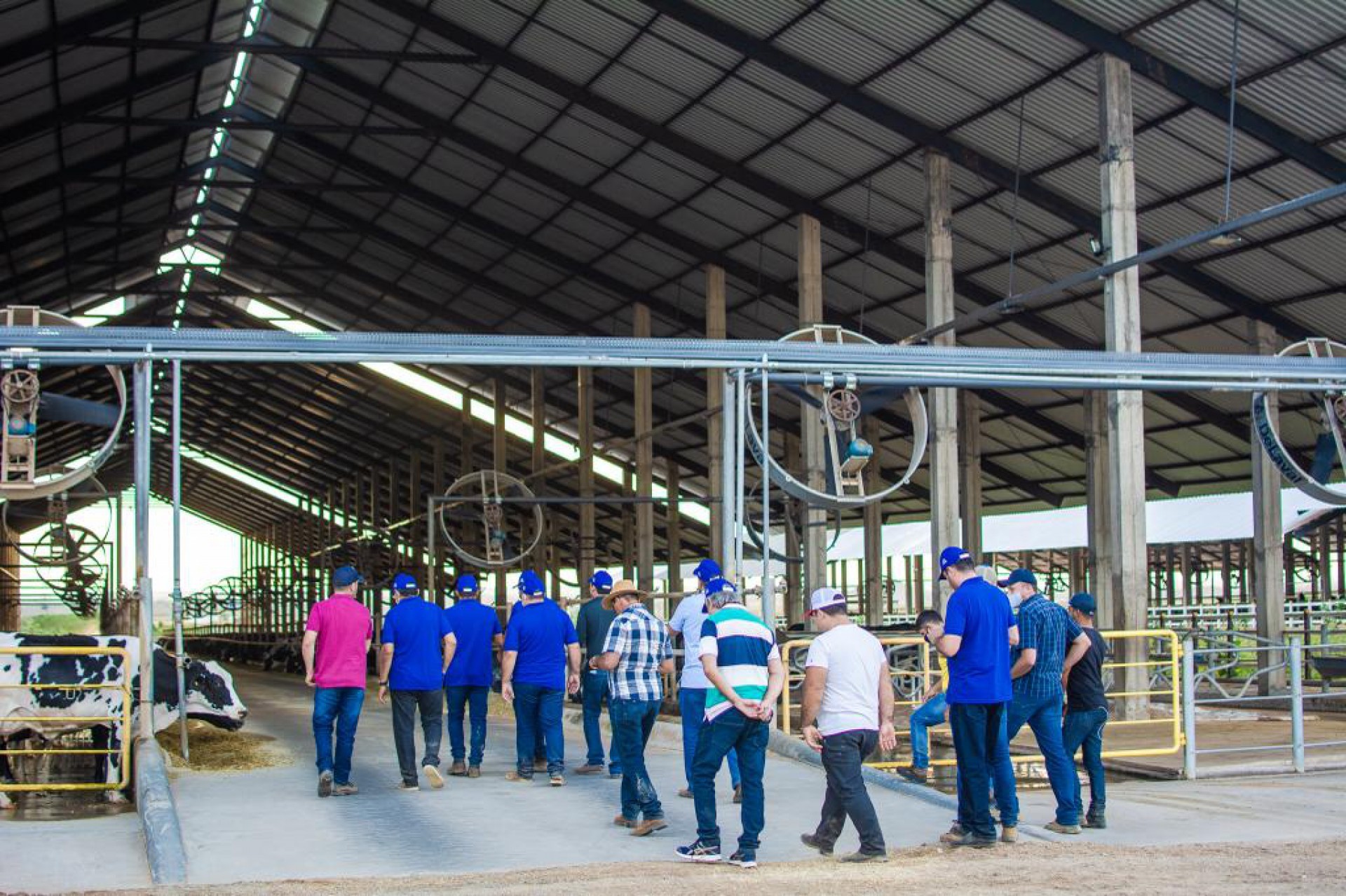 ￼Uma das metas do programa Nordeste Leiteiro é elevar a produção anual cearense para 10 mil litros de leite por vaca (Foto: Divulgação/Matheus Amorim)