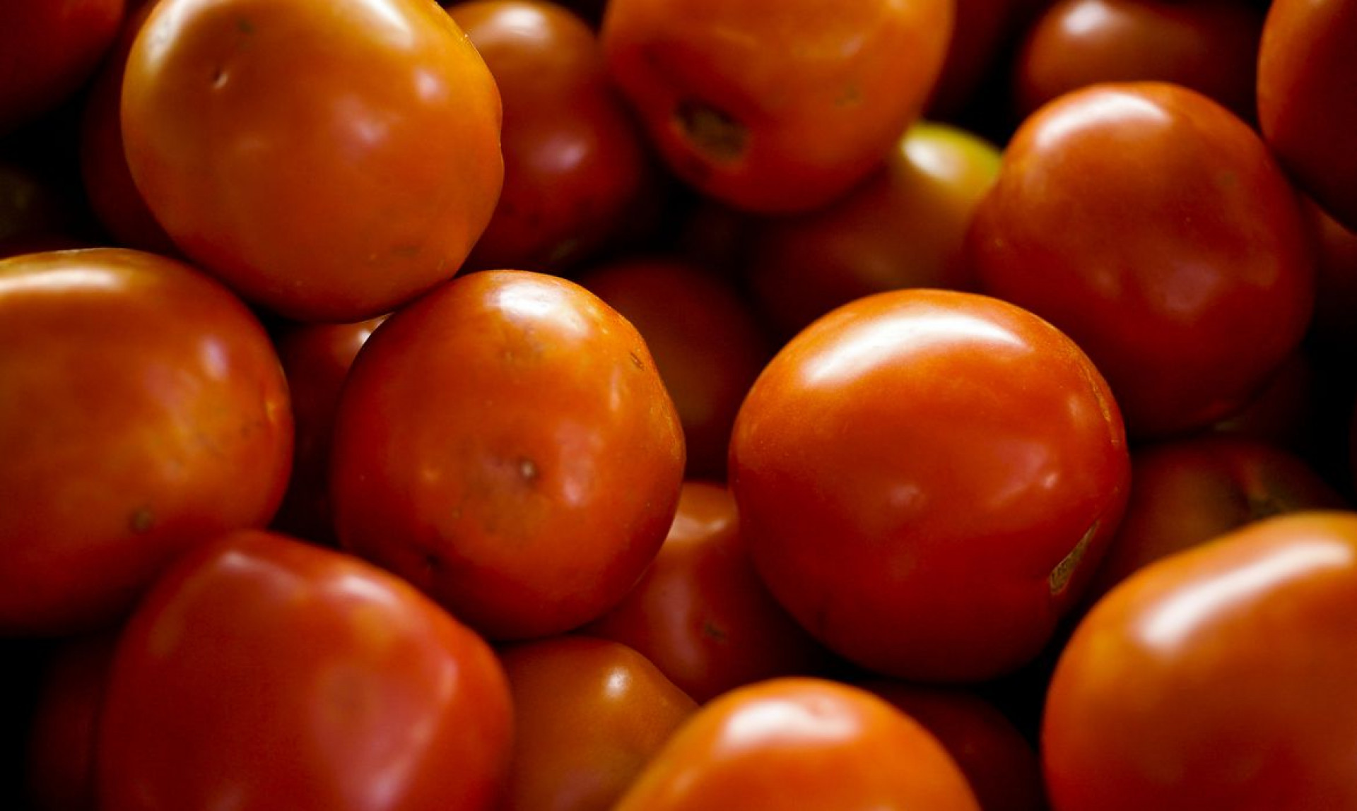 Um tomate produzido em outra parte do mundo pode não poluir, mas o transporte para chegar à sua mesa, sim.